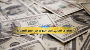 طالع ف العالي..سعر الدولار اليوم الأربعاء 18-10-2023 في جميع البنوك المصرية