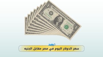 ارتفاع طفيف..سعر الدولار اليوم الخميس 7-9-2023 في مصر مقابل الجنيه