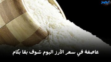 الكيلو نزل 14 جنيه.. مفاجأة في سعر الأرز اليوم الأحد 28 أبريل في السوق
