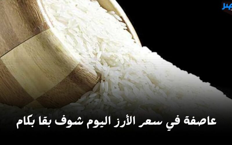 الكيلو نزل 14 جنيه.. مفاجأة في سعر الأرز اليوم الأحد 28 أبريل في السوق