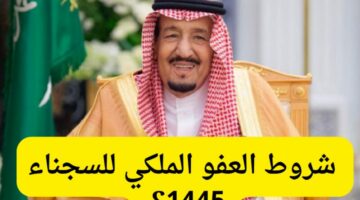 خطوات الاستعلام عن العفو الملكي بالمملكة العربية السعودية 1445ه‍ وأهم الشروط