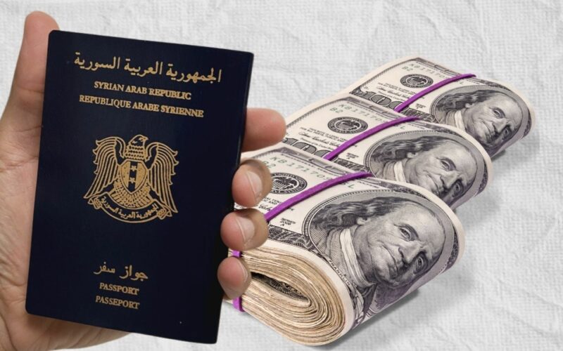 من هنا”.. خطوات حجز جواز سفر سوري 2024 عبر المنصة والأوراق المطلوبة