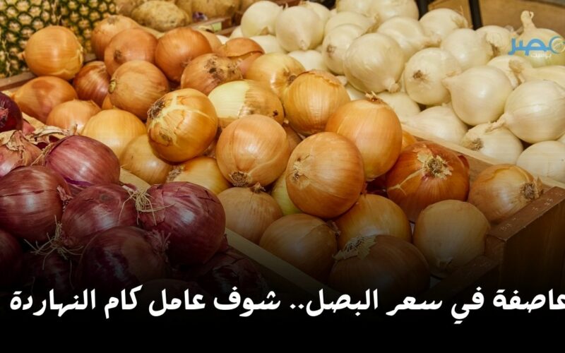 بكام يا بصل؟.. أعرفي سعر الخضروات والفاكهة اليوم الجمعة 26 أبريل في السوق