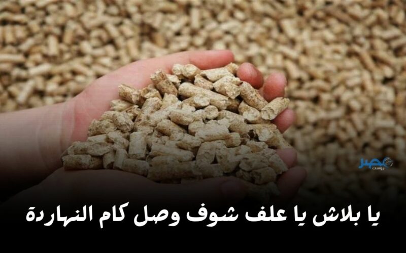 اشتري وخزن براحتك.. شوف سعر العلف اليوم الجمعة 26 أبريل في السوق بكام